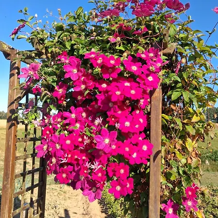 Dans Longere En Pierre A La Campagne * Saint-Ovin