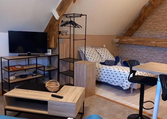 Dans Longere En Pierre A La Campagne Apartment Saint-Ovin