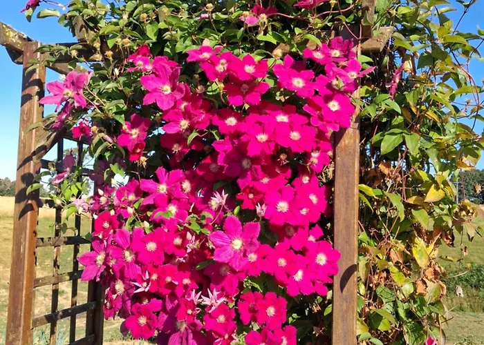 Dans Longere En Pierre A La Campagne * Saint-Ovin